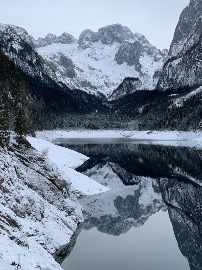 Appartamento Dachstein Mountainview Gosau Esterno foto