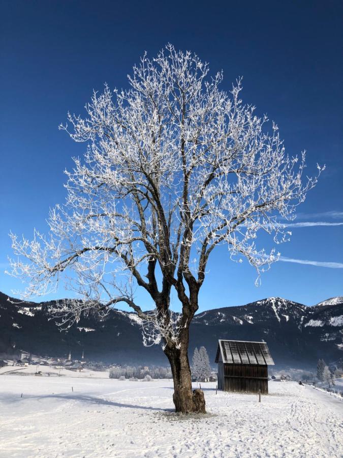 Appartamento Dachstein Mountainview Gosau Esterno foto