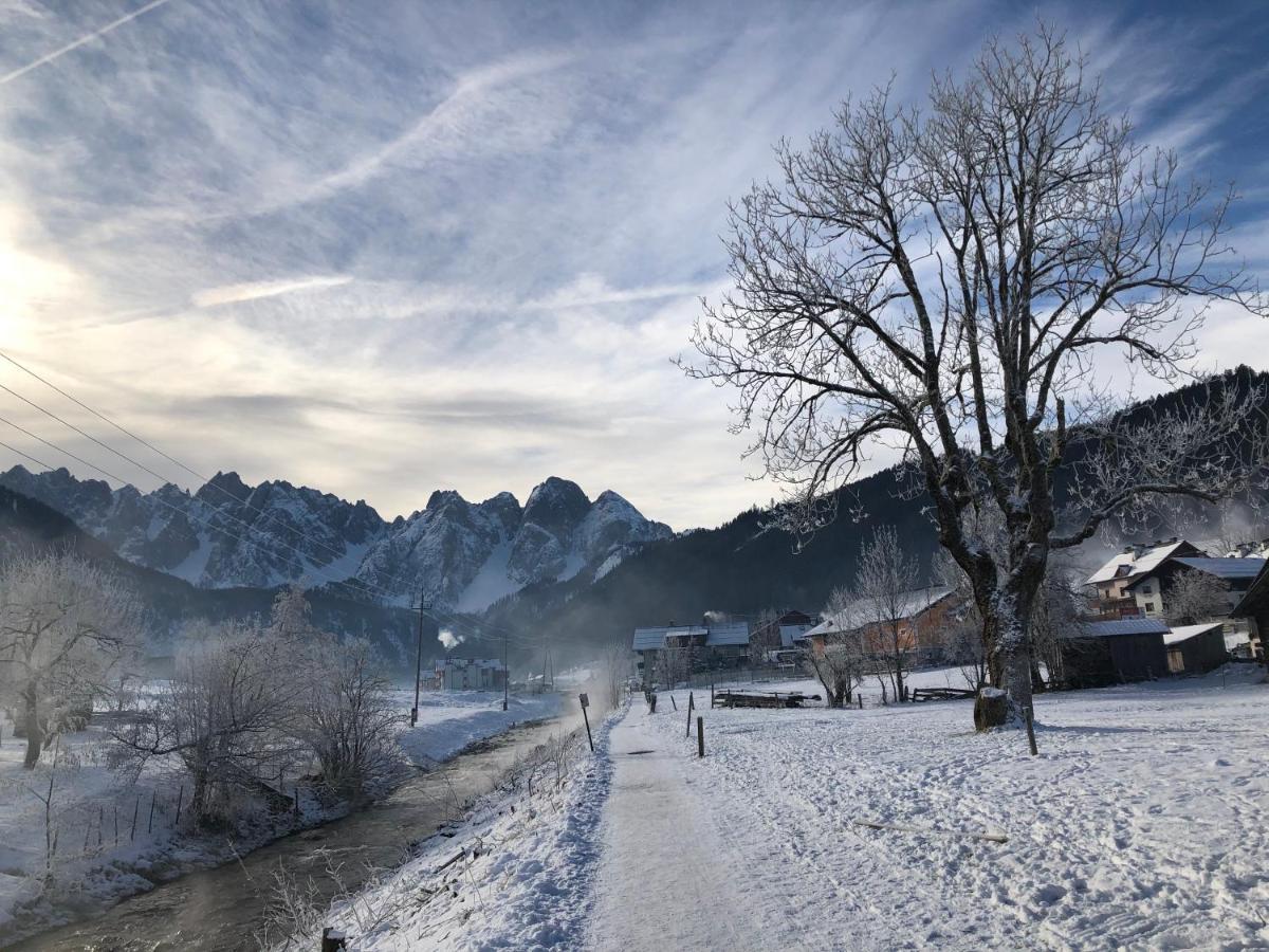 Appartamento Dachstein Mountainview Gosau Esterno foto