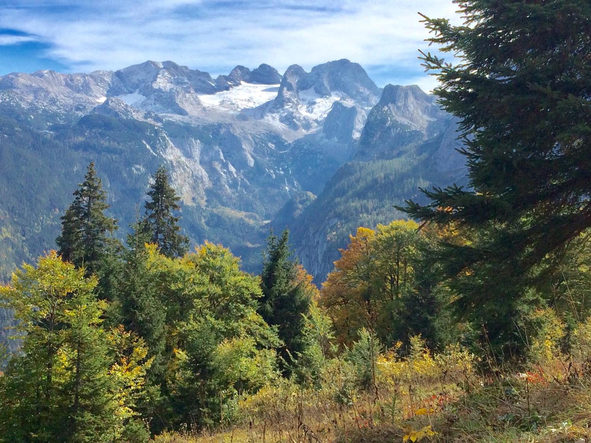 Appartamento Dachstein Mountainview Gosau Esterno foto