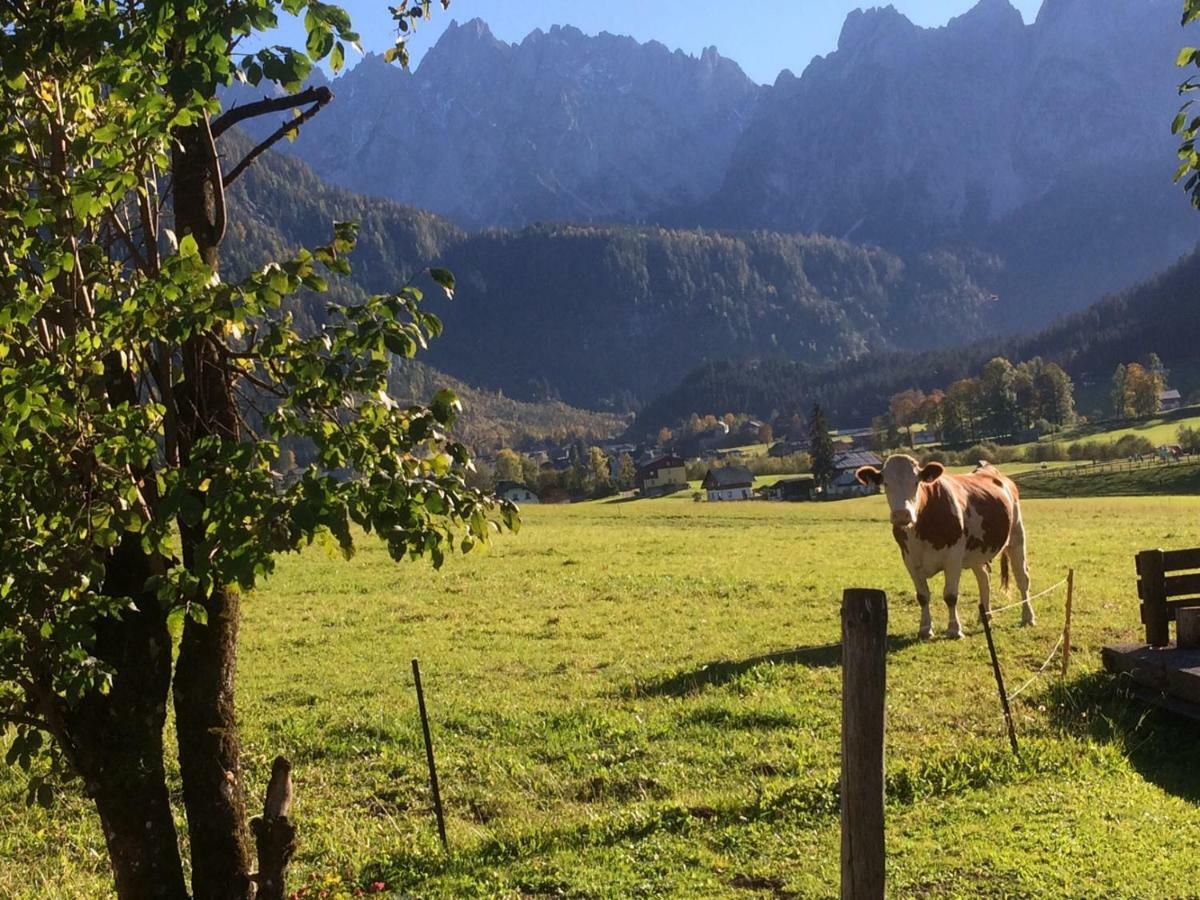 Appartamento Dachstein Mountainview Gosau Esterno foto