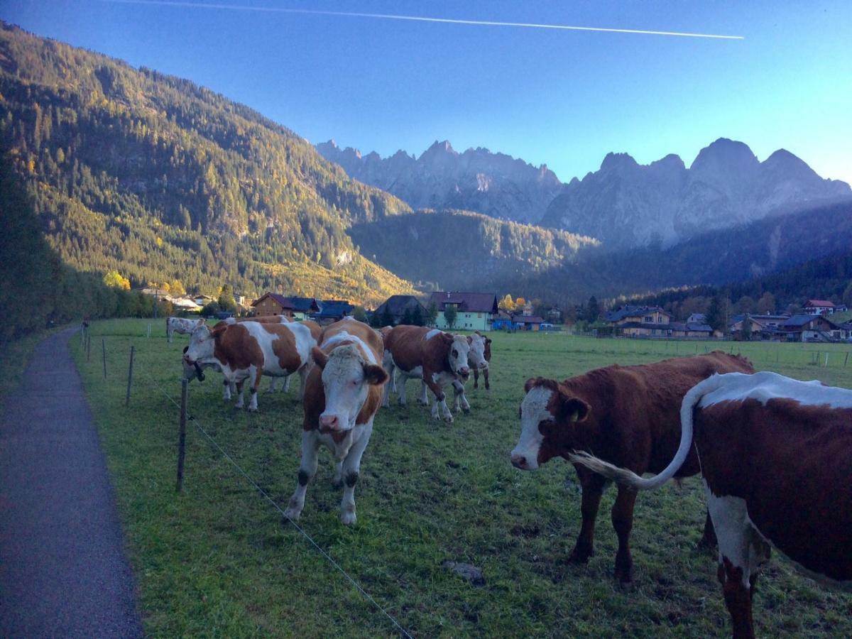 Appartamento Dachstein Mountainview Gosau Esterno foto