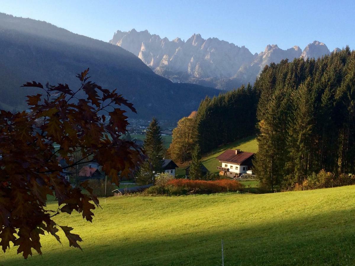 Appartamento Dachstein Mountainview Gosau Esterno foto