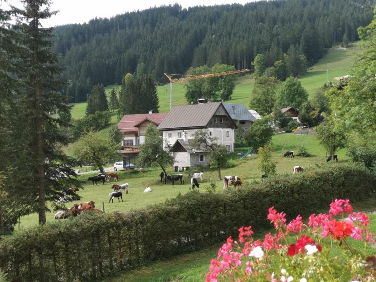 Appartamento Dachstein Mountainview Gosau Esterno foto